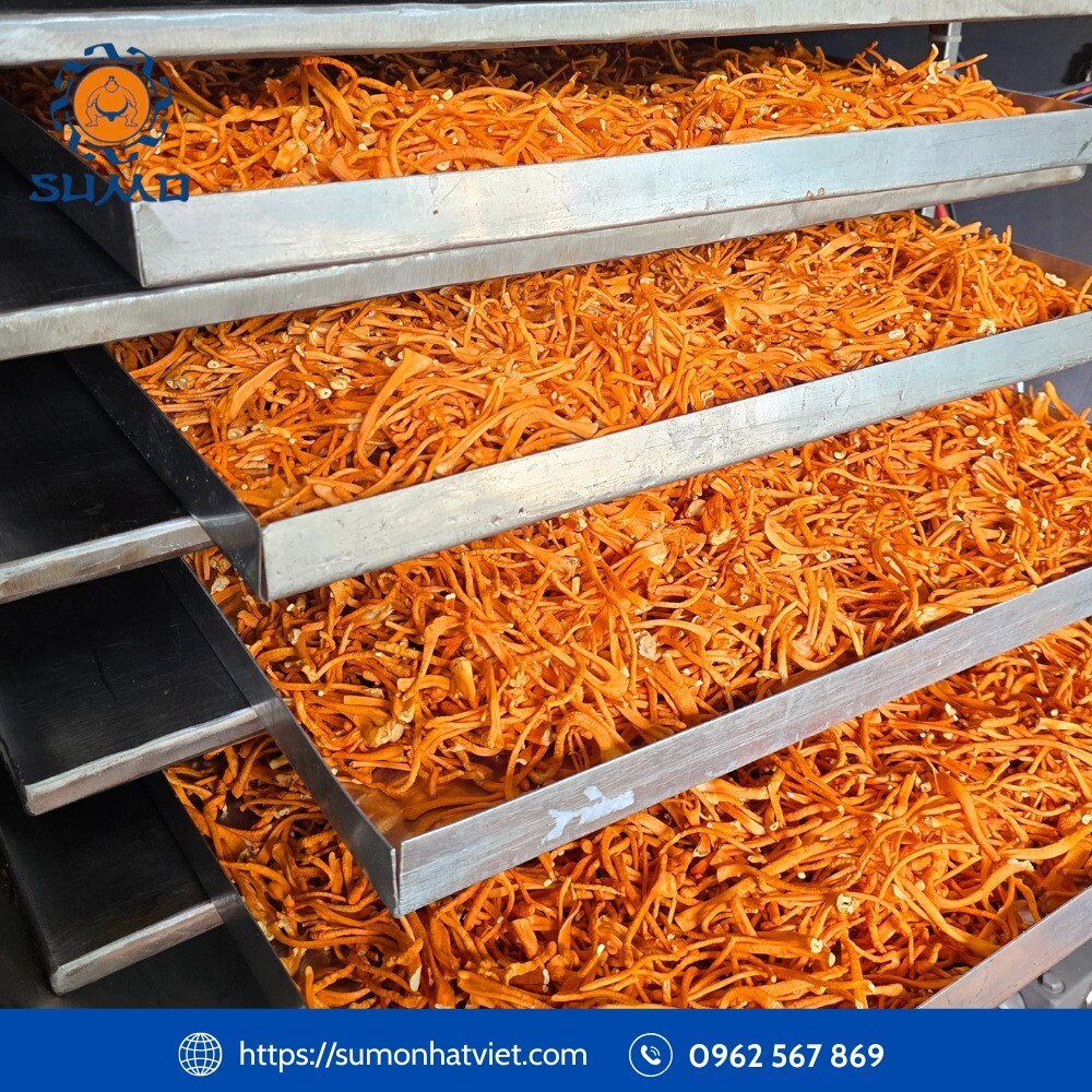 SuMo Nhật Việt 8