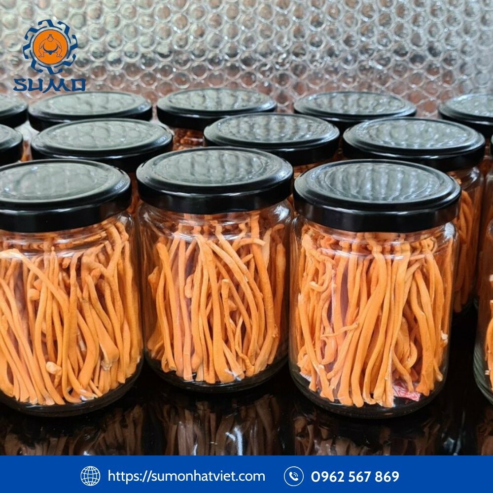 SuMo Nhật Việt 9