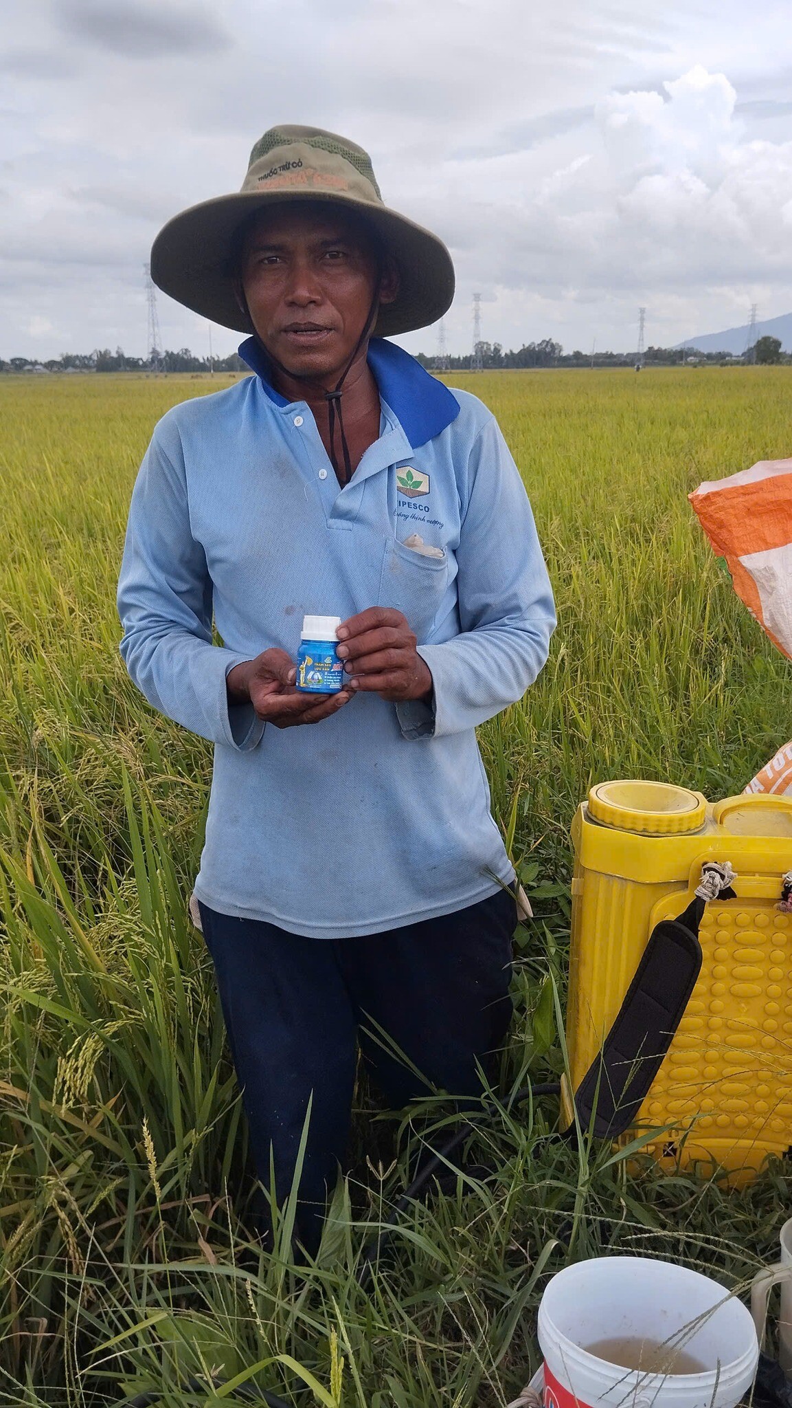 SINH HỌC NÔNG NGHIỆP HAI LÚA VÀNG 2