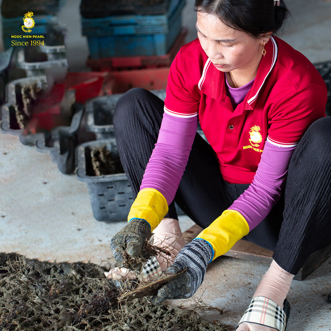 DNTN Ngọc Trai Ngọc Hiền 7