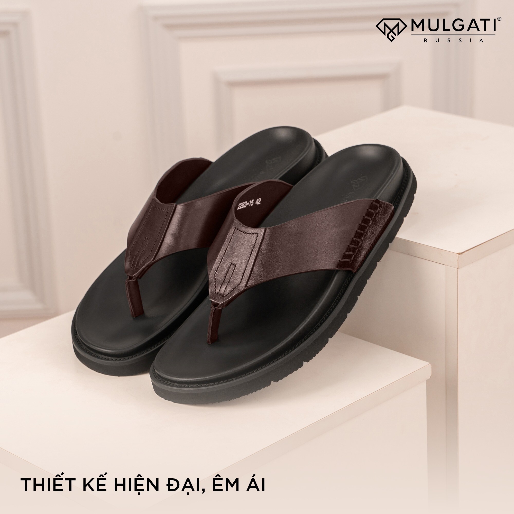 Mulgati Việt Nam 6