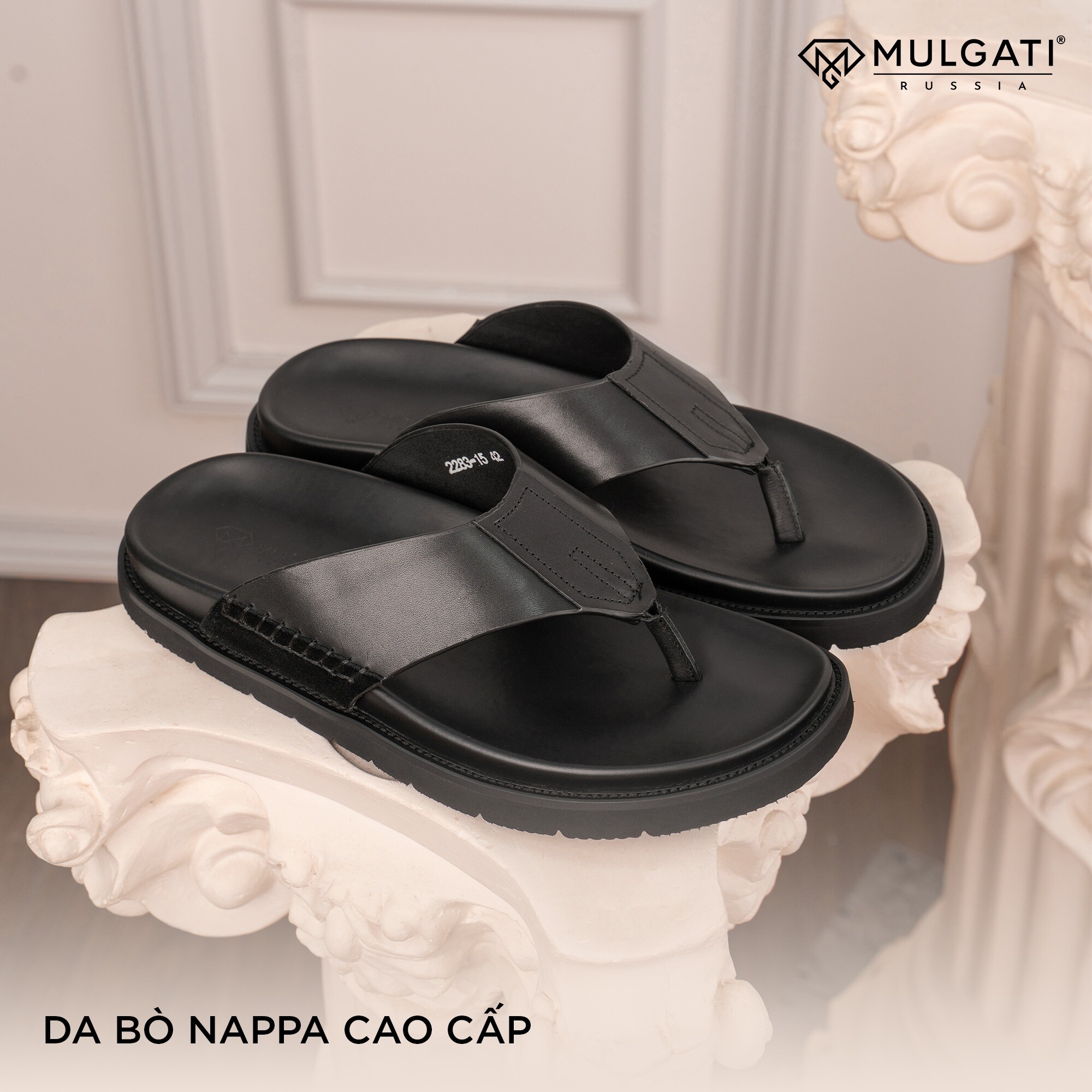 Mulgati Việt Nam 8