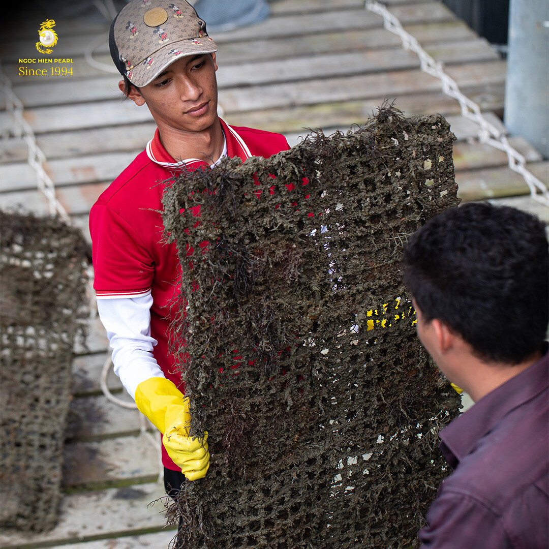 DNTN Ngọc Trai Ngọc Hiền 6