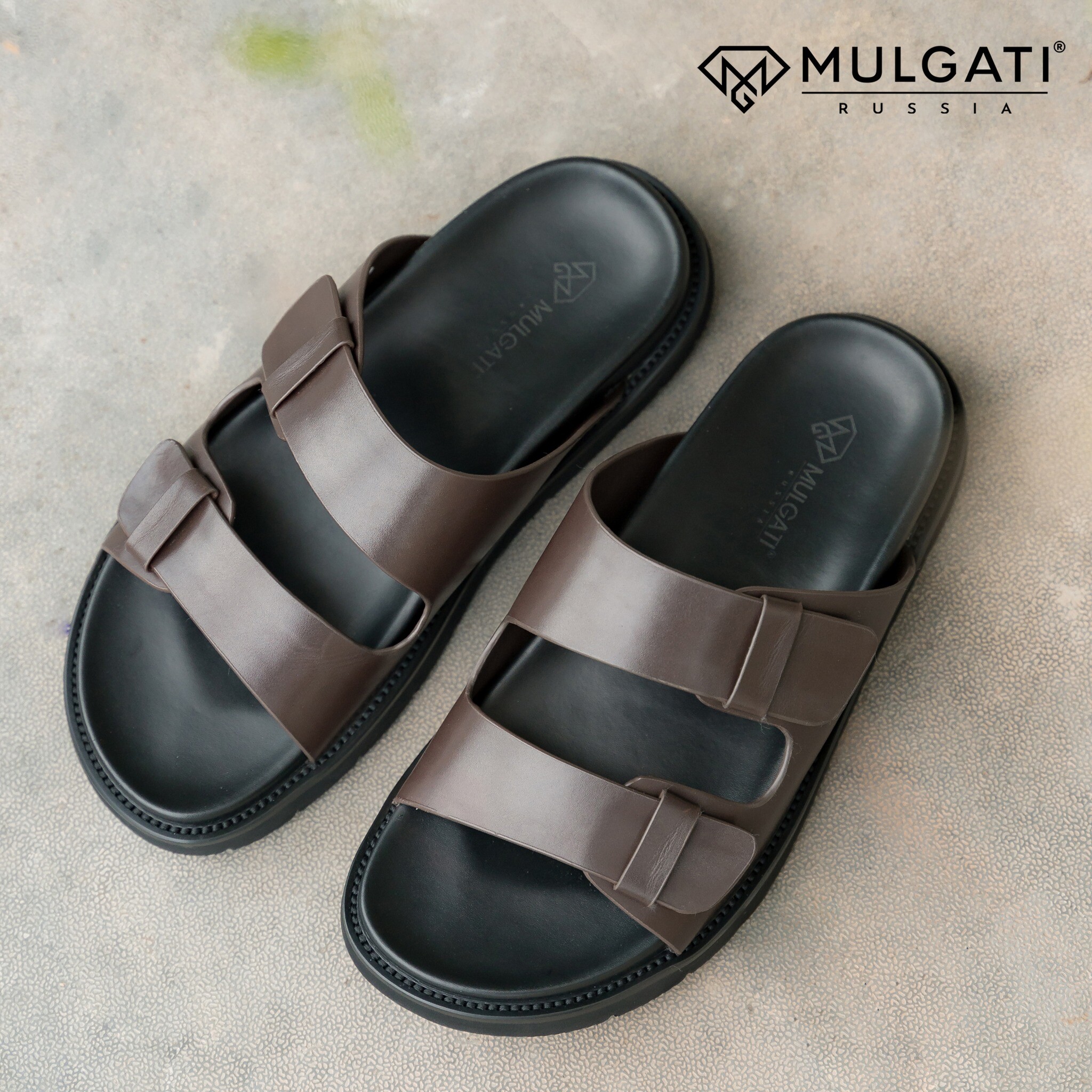 Mulgati Việt Nam 12