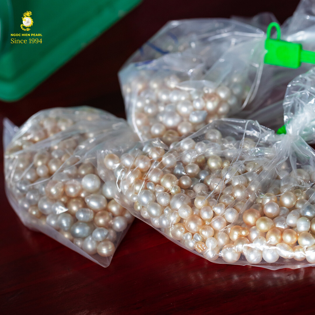 DNTN Ngọc Trai Ngọc Hiền 9