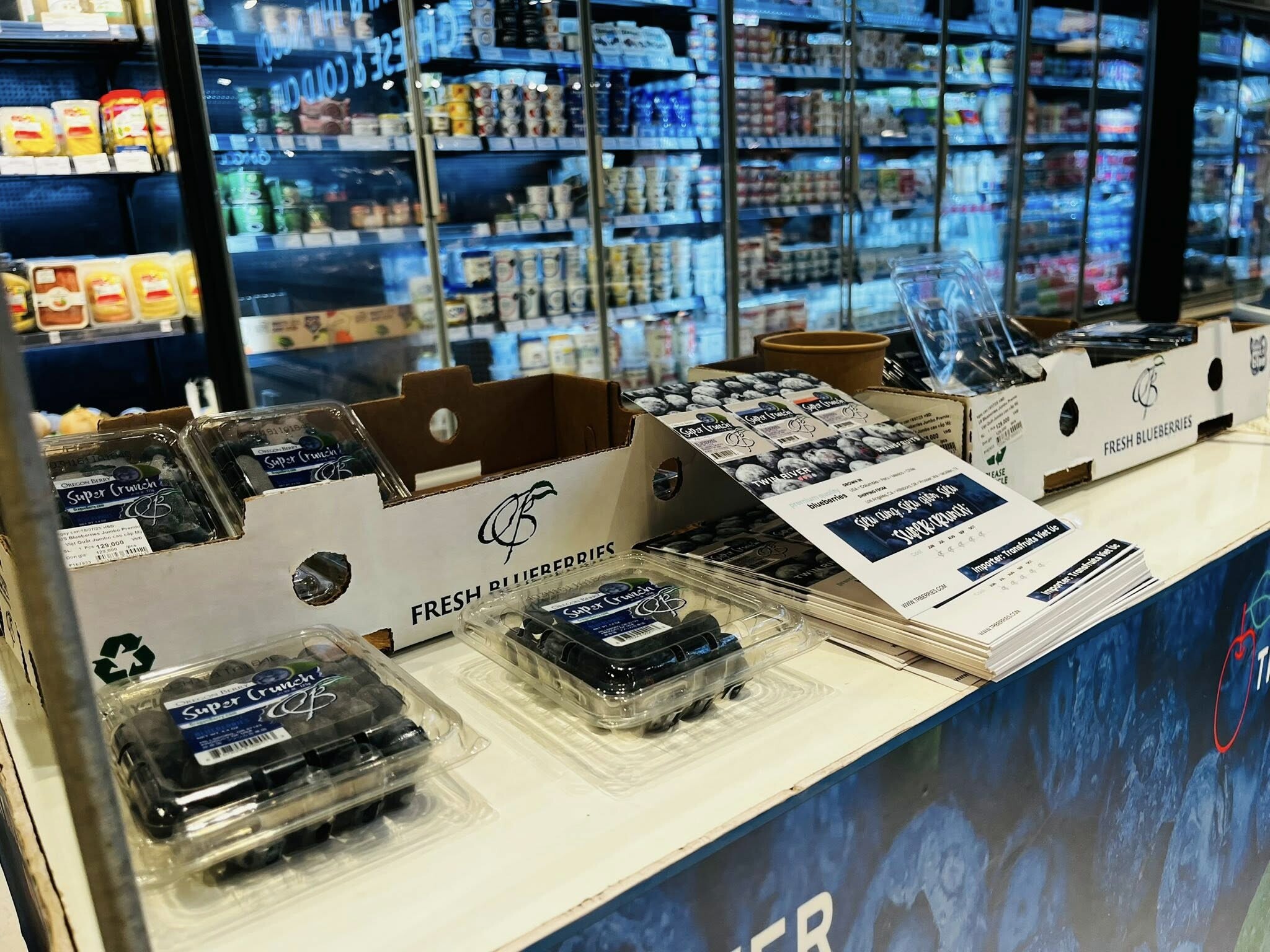 THƯƠNG MẠI XUẤT NHẬP KHẨU TRANSFRUITS VIỆT ÚC 6