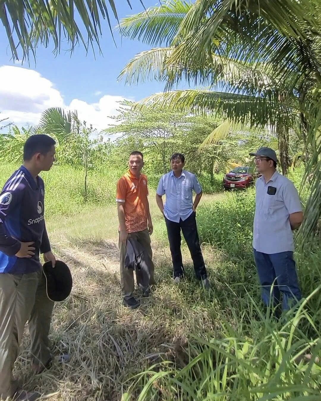 NÔNG NGHIỆP THE MOSHAV FARM 11