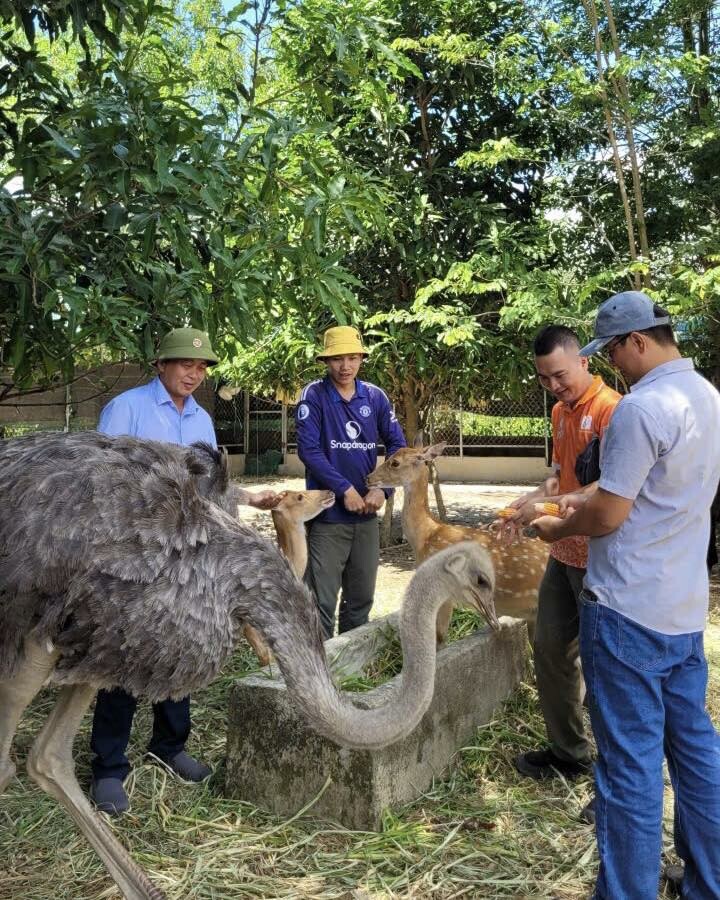 NÔNG NGHIỆP THE MOSHAV FARM 10