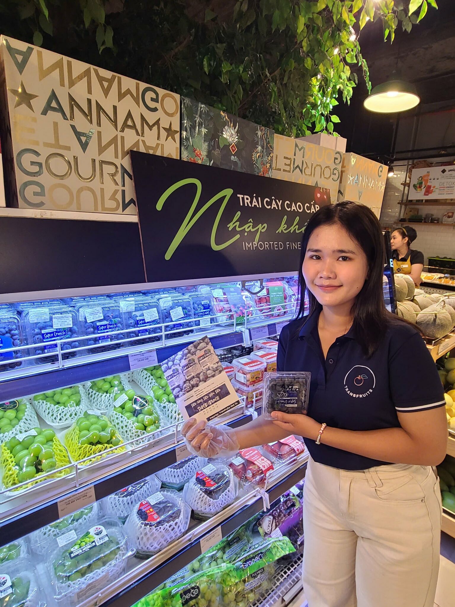 THƯƠNG MẠI XUẤT NHẬP KHẨU TRANSFRUITS VIỆT ÚC 9