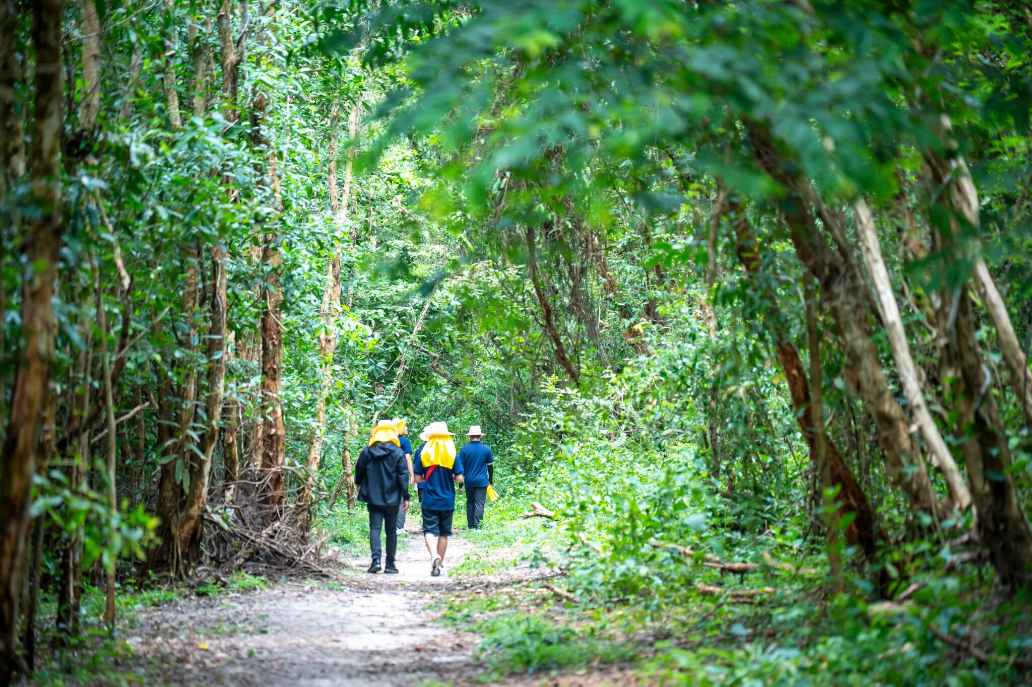 Bos Semiconductors Vietnam 8