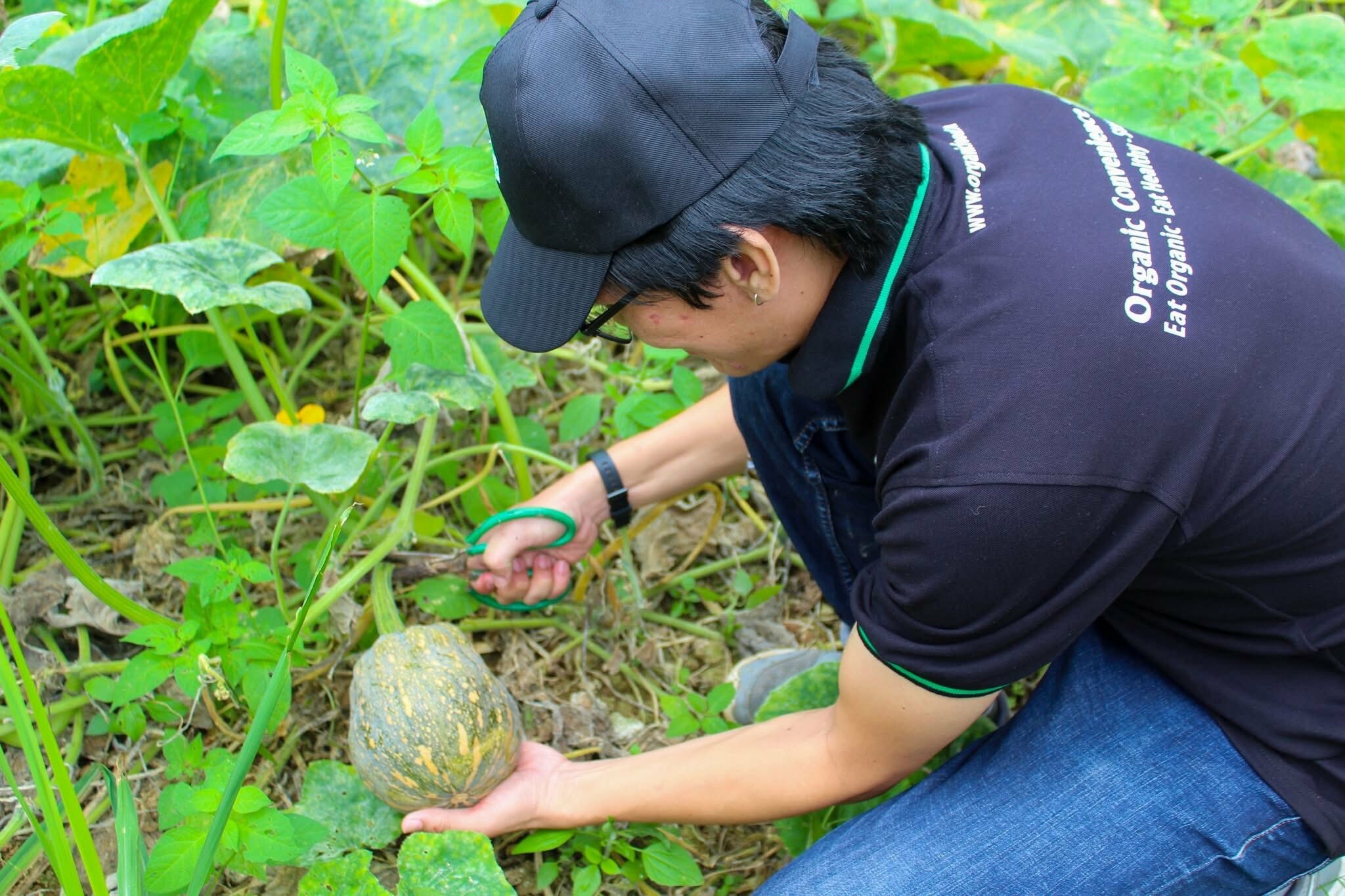 Vạn Sơn Thịnh Phát 7