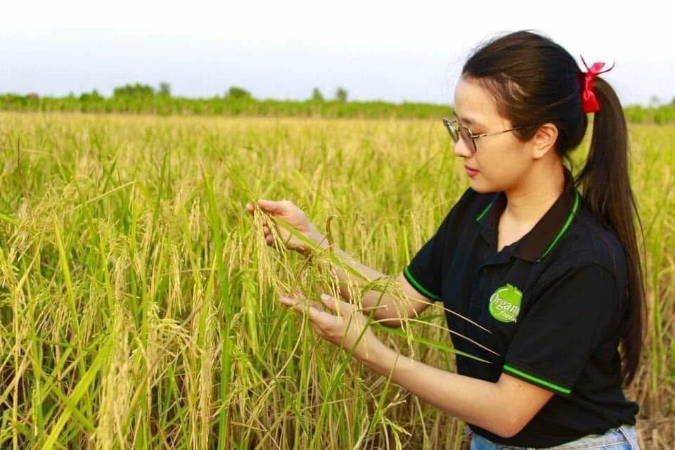 Vạn Sơn Thịnh Phát 6