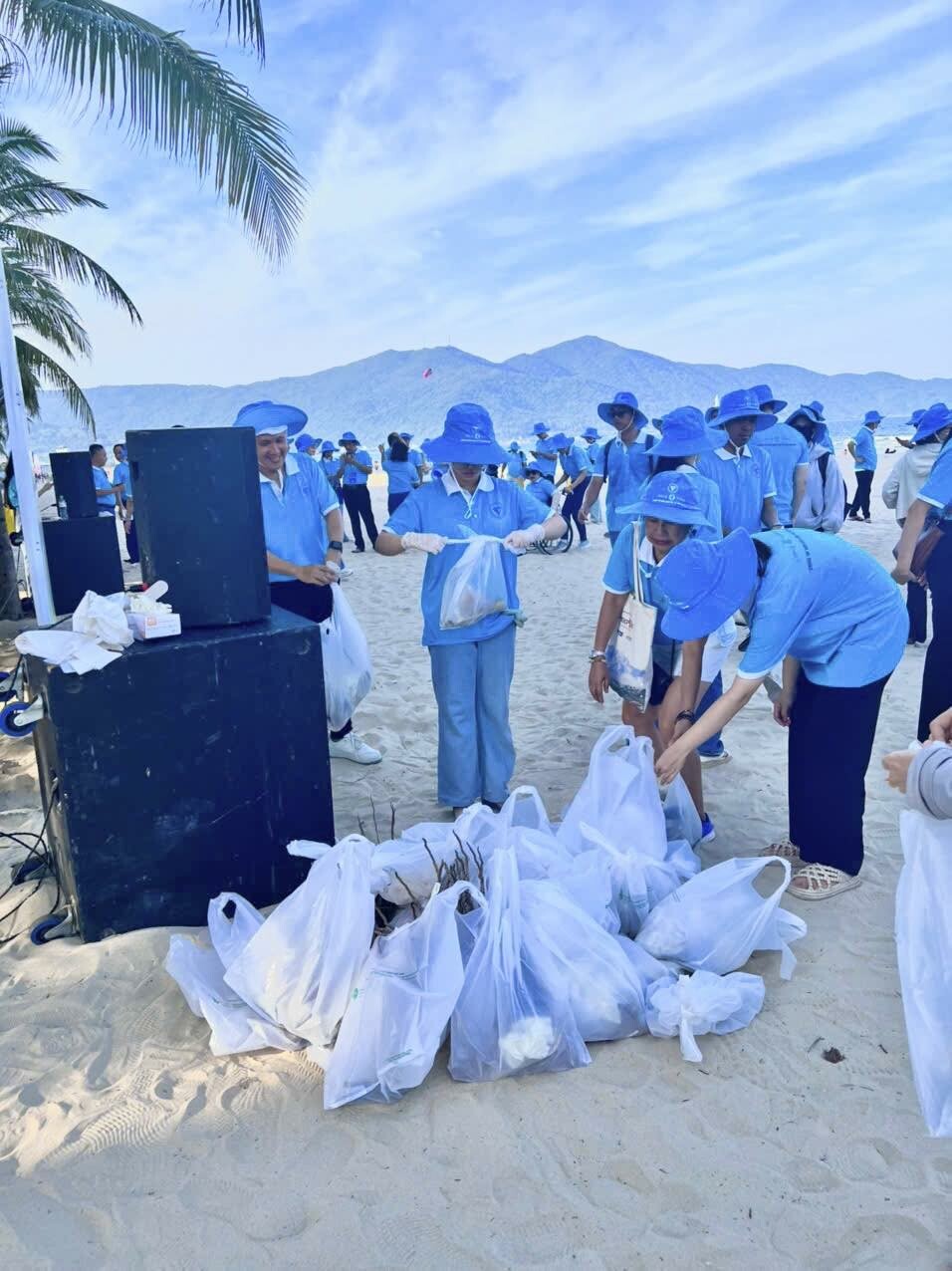 Đầu tư và Thẩm định quốc tế Đông Dương - Chi nhánh Đà Nẵng 8