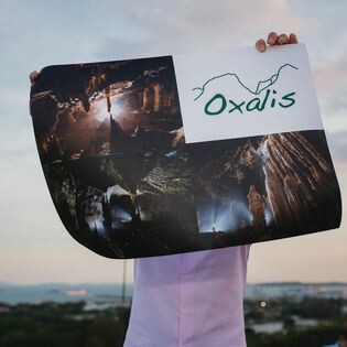 Oxalis Company Limited 3