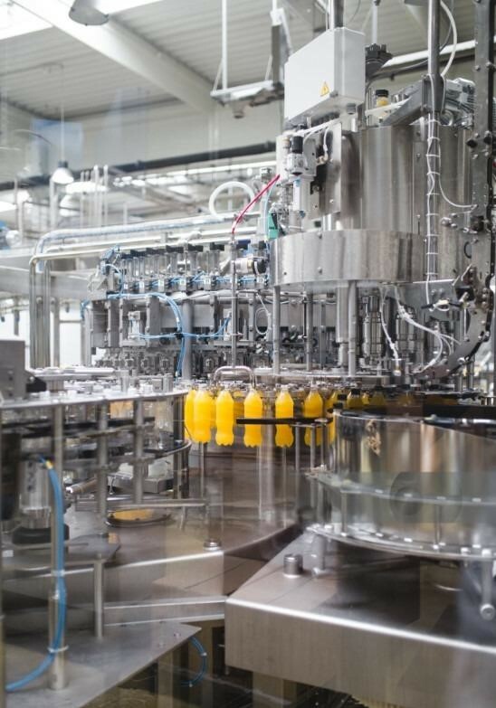 DANUKA VIỆT NAM 10