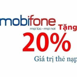 Châu Huỳnh Mai Holdings 11