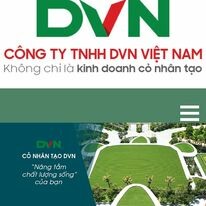 Tập Đoàn DVN Việt Nam 2