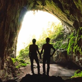 Oxalis Company Limited 5