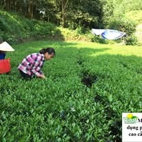 Đầu Tư Và Phát Triển Vinaf 1