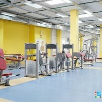 Hợp Thành Phát 8