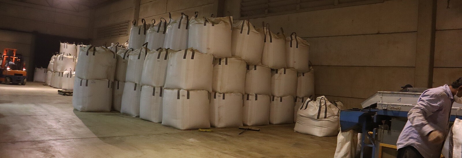 Trading Perfect Partner 6