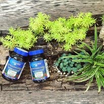 Ecopath Việt Nam 9