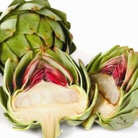 Dược Trung ương Mediplantex 7