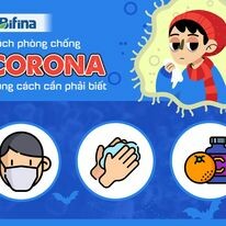 Ecopath Việt Nam 11