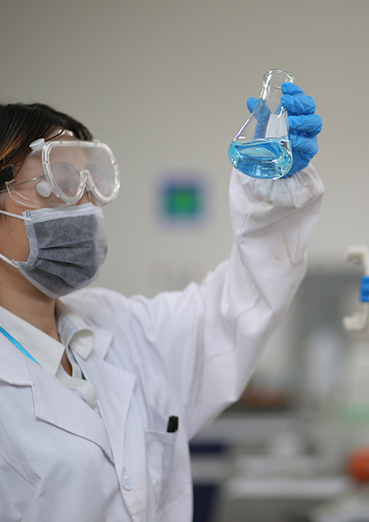 Cese2 (Việt Nam) 5