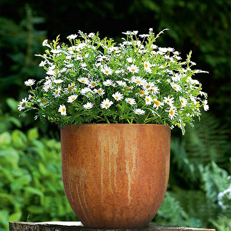 An Cơ Bình Dương 7