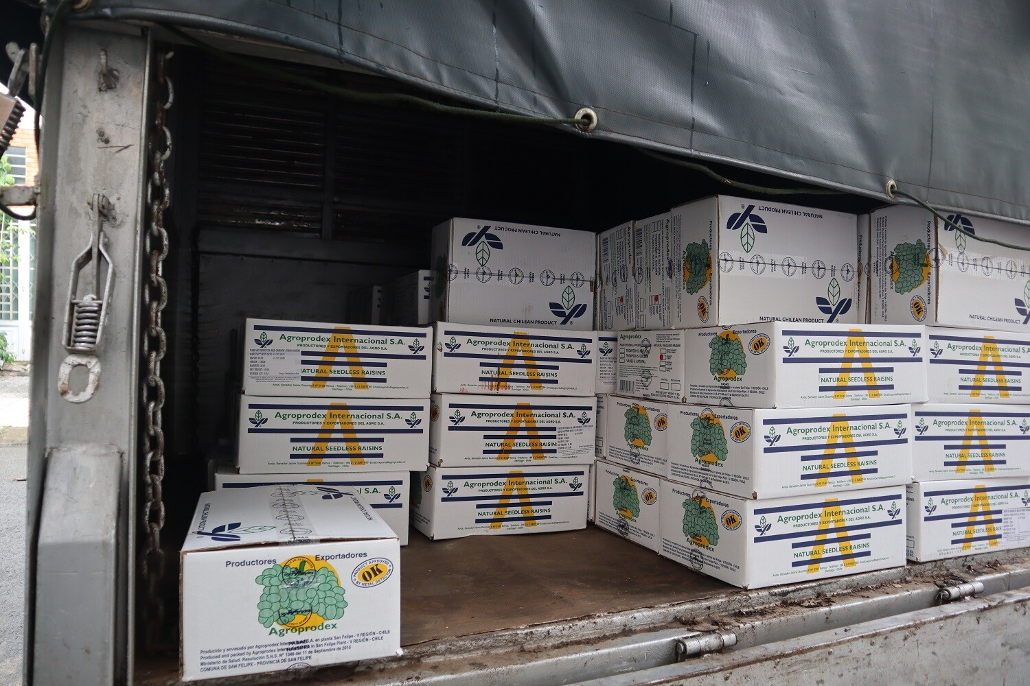 Trading Perfect Partner 7