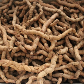 Dược Trung ương Mediplantex 4