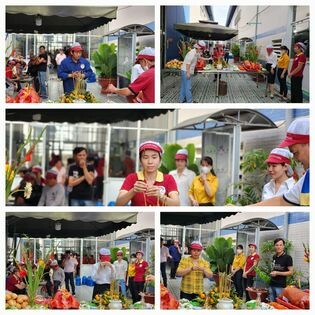 BAO BÌ NHỰA MILLION 3