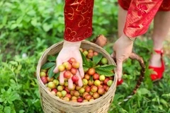 H'mong Village Resort 2