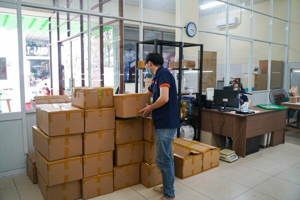 Xuất nhập khẩu M.I.I.N 10