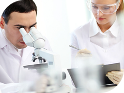 VietStar Biomedical Research 7