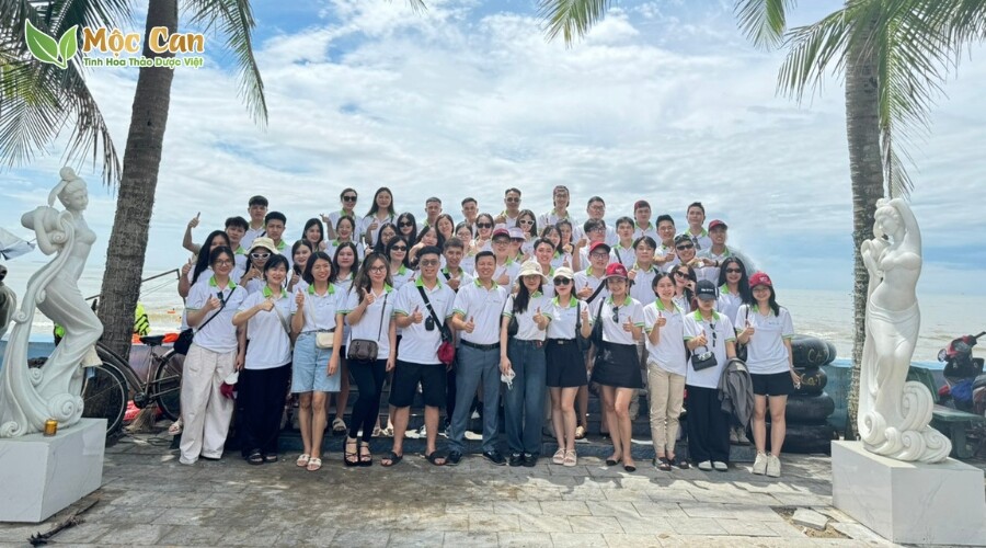 THẢO DƯỢC MỘC CAN 9