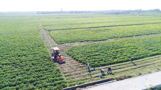 Tấn Phát Đạt 14