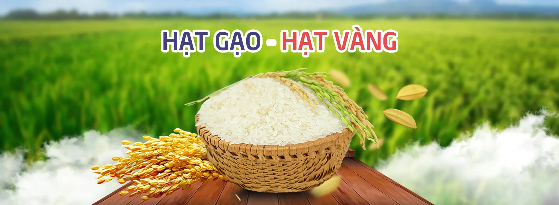 Xay Xát Hoàng Giao 1