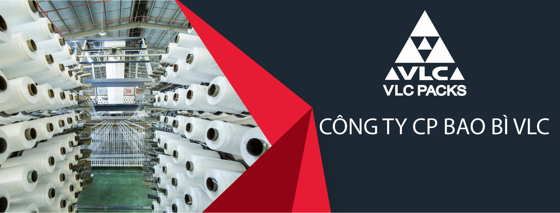 Bao Bì Vlc 6