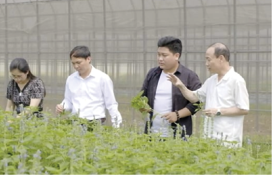 Hợp Tác Xã Nhà Xanh Toàn Cầu 5