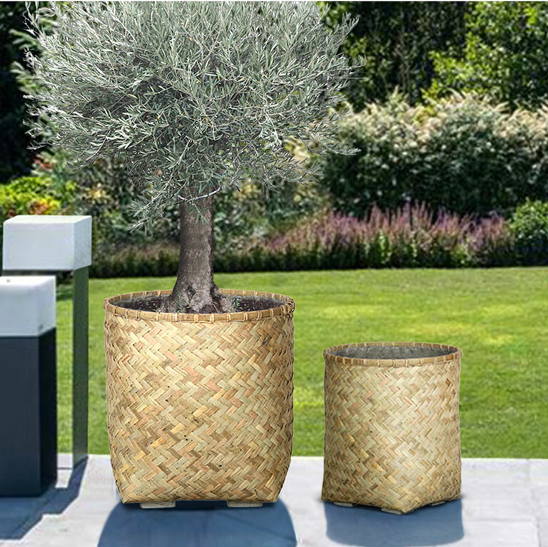 An Cơ Bình Dương 9