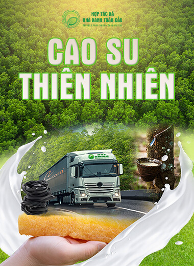 Hợp Tác Xã Nhà Xanh Toàn Cầu 1
