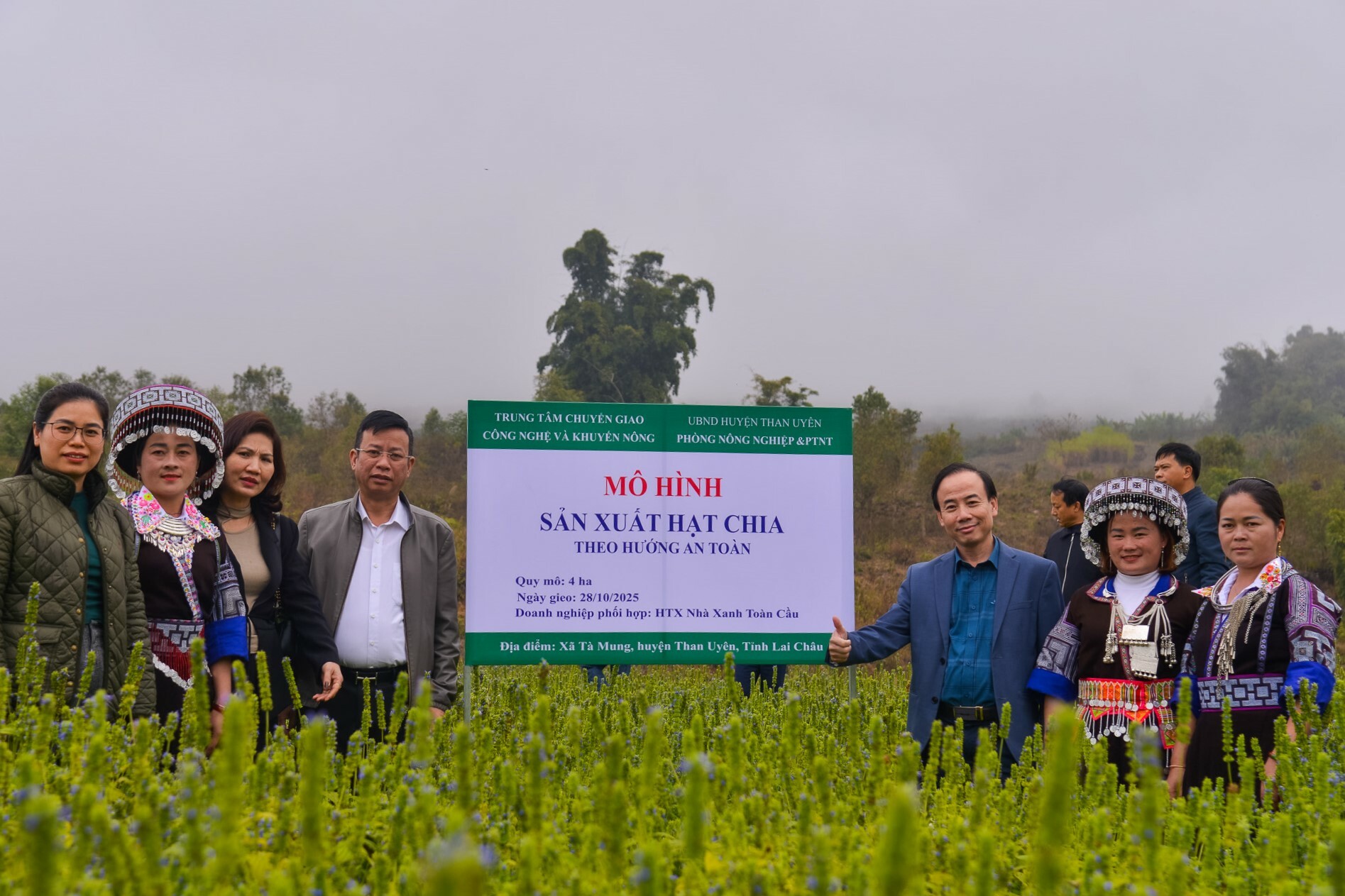 Hợp Tác Xã Nhà Xanh Toàn Cầu 3