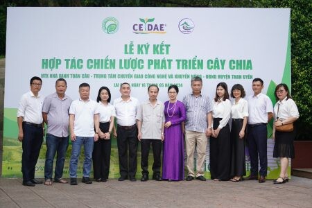 Hợp Tác Xã Nhà Xanh Toàn Cầu 4