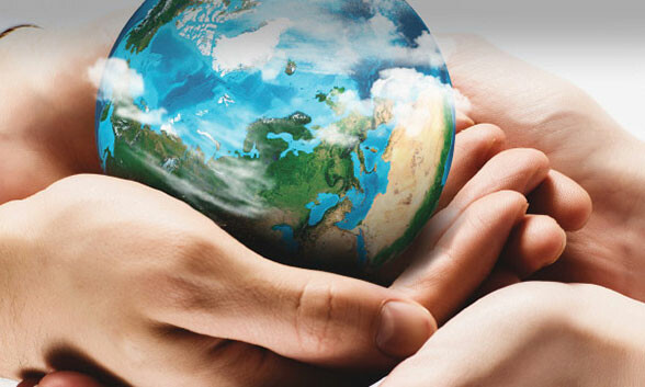 Thương mại - Xây dựng Đa Lộc 7