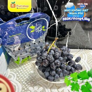 Fruit Shop Retail 11