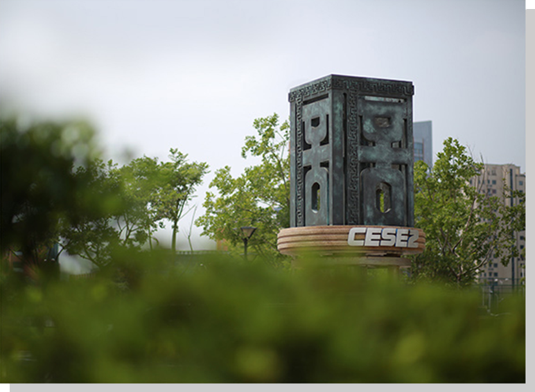 Cese2 (Việt Nam) 10