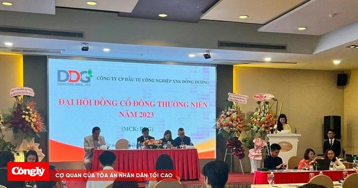 Đầu Tư Công Nghiệp Xnk Đông Dương 9