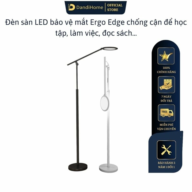 DANDIHOME VIỆT NAM 9